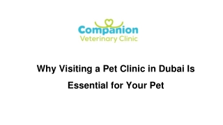 Why Visiting a Pet Clinic in Dubai Is Essential for Your Pet