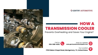 How a Transmission Cooler Prevents Overheating and Saves Your Engine