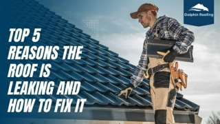 Top 5 Reasons The Roof Is Leaking And How To Fix It