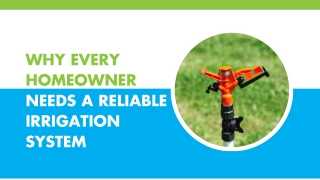 Fast and Professional Solutions for Irrigation Issues