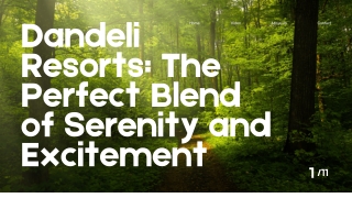 Dandeli Resorts The Perfect Blend of Serenity and Excitement