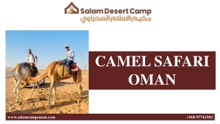 Camel Safari Oman | Authentic Desert Ride Experience
