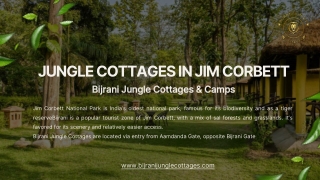 Bijrani Jungle Cottages – Stay Amidst the Wild Beauty of Corbett