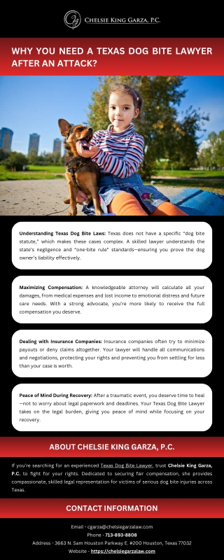 Why You Need a Texas Dog Bite Lawyer After an Attack?