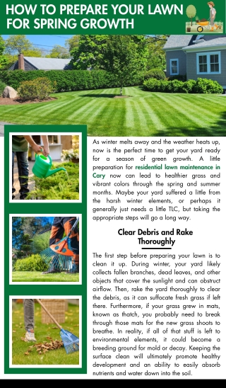 How to Prepare Your Lawn for Spring Growth
