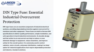 DIN Type Fuse Essential Industrial Overcurrent Protection (2)