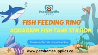 Fish Feeding Ring Aquarium Fish Tank Station – Pets Home Supplies