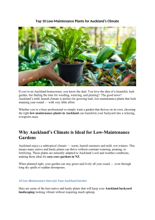 Top 10 Low-Maintenance Plants for Auckland’s Climate