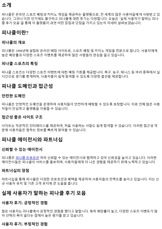 실제 사용자가 말하는 피나클 후기 모음
