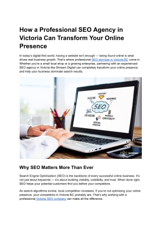 How a Professional SEO Agency in Victoria Can Transform Your Online Presence