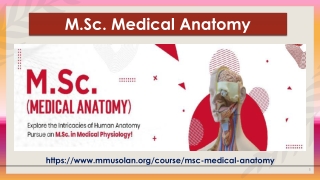 M.Sc. Medical Anatomy