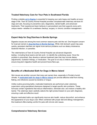 Veterinary Care for Your Pets