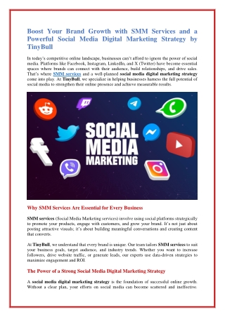 TinyBull Social Media Digital Marketing Strategy for Customer Engagement