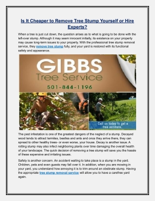 Is It Cheaper to Remove Tree Stump Yourself or Hire Experts?