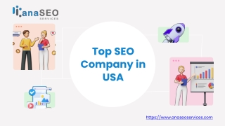 Top SEO Company in USA - www.anaseoservices.com