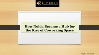 How Noida Became a Hub for the Rise