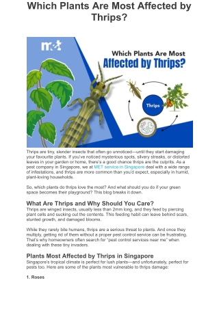 Which Plants Are Most Affected by Thrips?