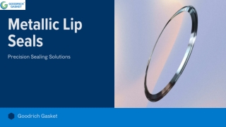 High-Performance Lip Seals by Goodrich Gasket