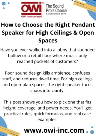 Powerful and Stylish Pendant Speaker for Clear Sound