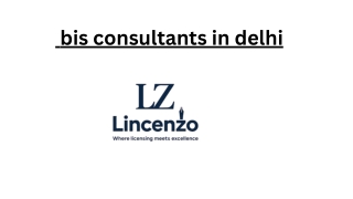bis consultants in delhi
