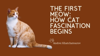 Understanding Feline Behavior: Cracking the Cat Code | Andrei Khatchatourov