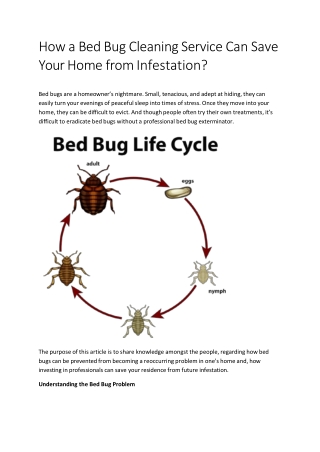 How a Bed Bug Cleaning Service Can Save Your Home from Infestation?