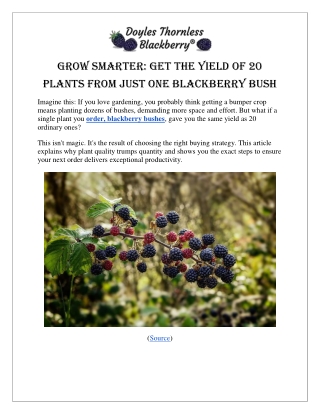 Grow Smarter Get the Yield of 20 Plants from Just One Blackberry Bush