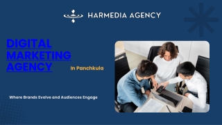 Digital Marketing Agency in Panchkula | HarMedia Agency