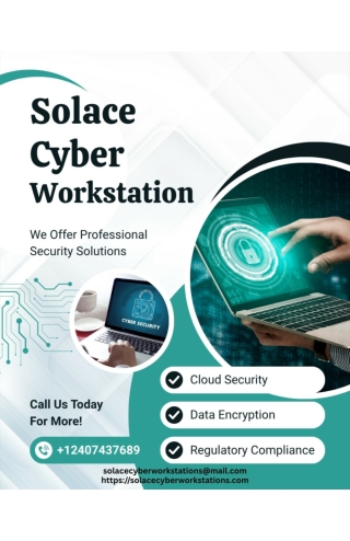 THE MOMENT SOLACE CYBER WORKSTATIONS SAVE ME FROM BEING SCAMMED