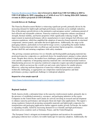 Nanoclay Reinforcement Market