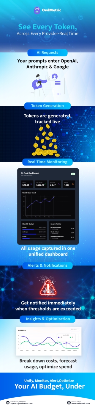 Infographic:- See Every Token, Across Every Provider-Real Time