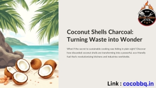 From Waste to Wonder Coconut Shells Charcoal Powering Sustainable Futures