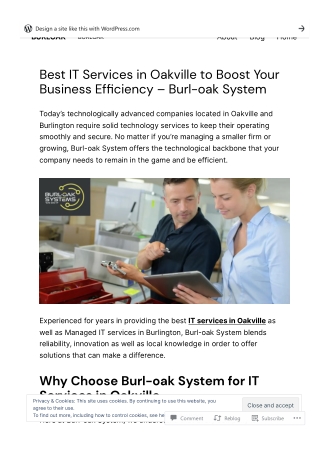 Best IT Services in Oakville to Boost Your Business Efficiency - Burl-oak System