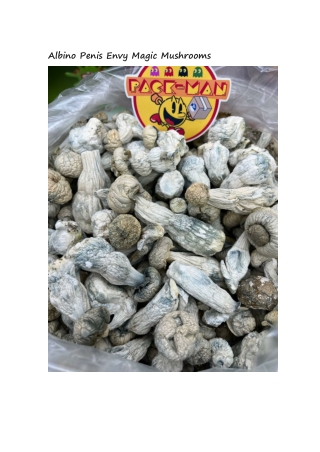 Albino Penis Envy Magic Mushrooms