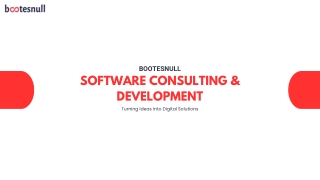 SOFTWARE CONSULTING & DEVELOPMENT