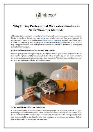 Why Hiring Professional Mice exterminators is Safer Than DIY Methods