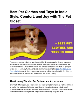 Best Pet Clothes and Toys in India