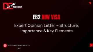 Boost Your EB2 NIW RFE Approval Rate with a Strong Expert Opinion Letter