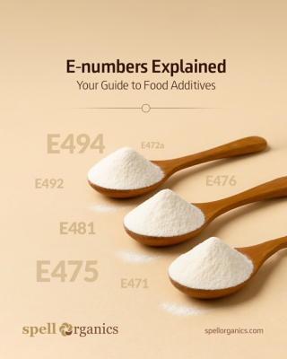 E-numbers Explained: Why Global Food Brands Trust Them for Safety and Quality