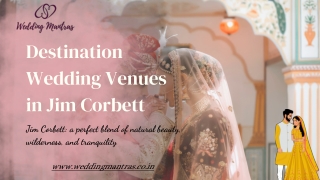 Destination Wedding Venues in Jim Corbett – Where Wilderness Meets Romance
