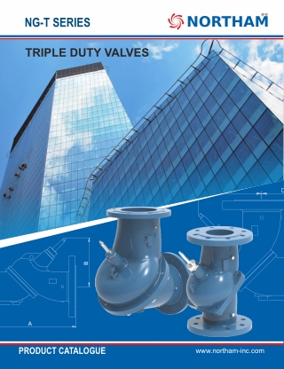 Triple Duty Valves Supplier in the USA – Notham Inc
