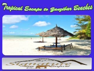 tropical_escape_to_zanzibar_beaches