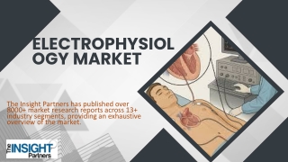 Electrophysiology Devices Market Overview, Growth, Trends, Analysis (2021-2031)