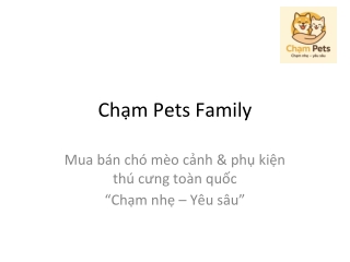 E-Book (Publish as 3D Flipbook) — hoặc SlideShow nếu bạn muốn dạng trình chiếu