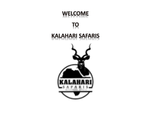 Kalahari safaris