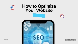 LEADING SEO EXPERT NOW