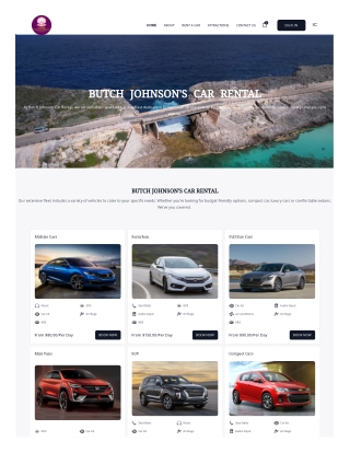 butch johnson car rental eleuthera
