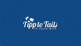 Safe and Comfortable Pet Lodging Services in Troy, OH