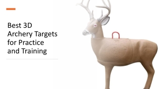 Best 3D Archery Targets for Practice and Training