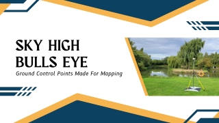 Sky High Bulls Eye (Oct)